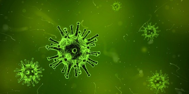 10 reglas de la OMS - virus